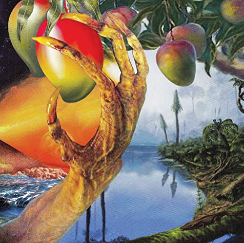 Timelash - A Morphology Of Wonders [VINYL]