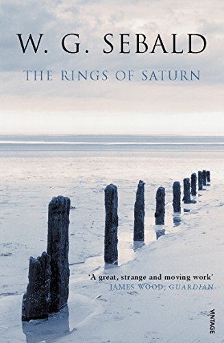 Book cover with author's name and title, featuring a constellation-like design and a fence.