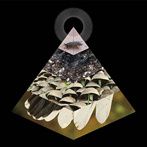 "Album cover art featuring a pyramid with insect and feather images on a black background."