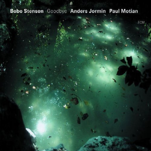 "CD cover with underwater scene, leaves, and debris, featuring artist names at the top."
