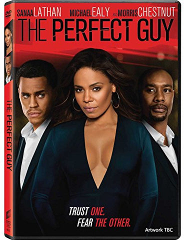 The Perfect Guy [DVD]