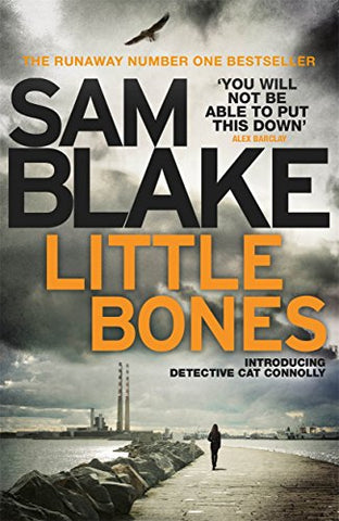 Little Bones: A disturbing Irish crime thriller (The Cathy Connolly Series)