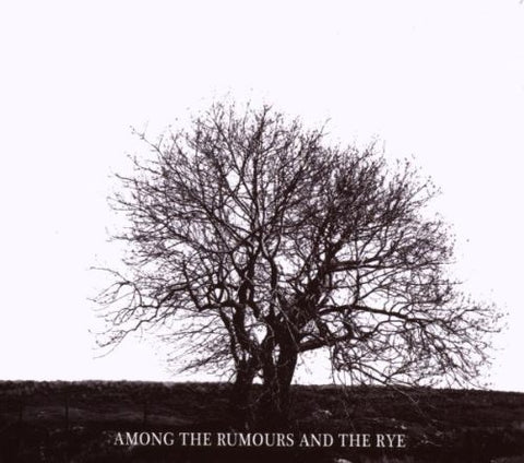 Mr David Viner - Among The Rumours And The Rye [CD]