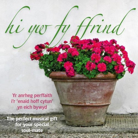 Hi Yw Fy Ffrind - Hi Yw Fy Ffrind [CD]