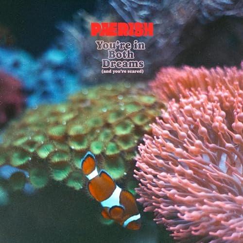 Paerish - Youre In Both Dreams (And Youre Scared) [CD]