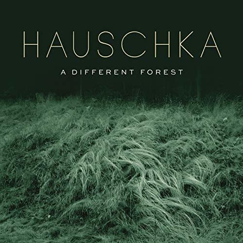 CD album cover for Hauschka's "A Different Forest" with forest imagery.