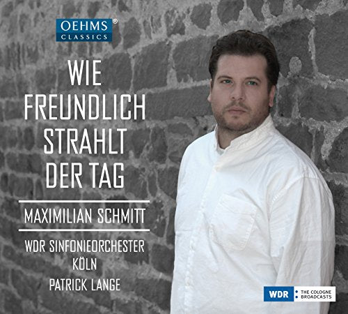 Man in white shirt stands against a stone wall, CD cover art.