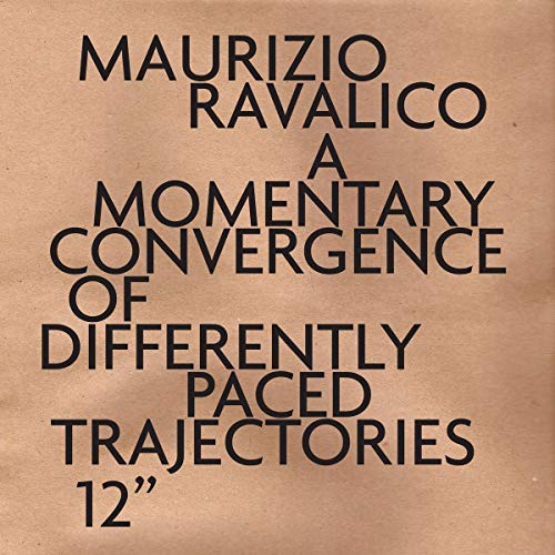 Various - A Momentary Convergence Of Differently Paced Trajectories [VINYL]