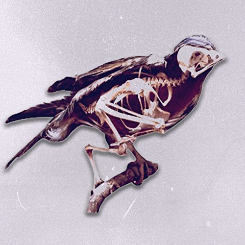 Various - Birds [CD]