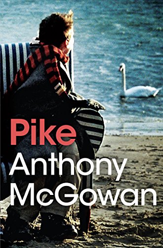Book cover: man sitting on a bench by a lake with a swan.