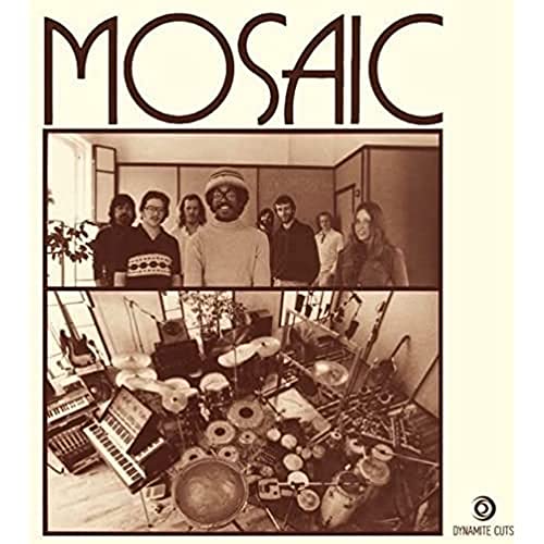 Various - Present Tense [7 inch vinyl] [VINYL]