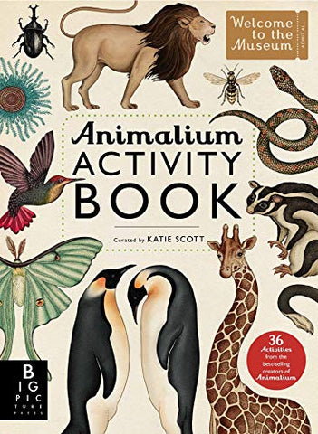 Animalium Activity Book (Welcome To The Museum)