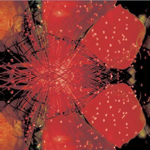 Kk Null - Kosmista Noisea [CD]