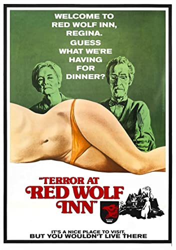 Terror At Red Wolf Inn [DVD]