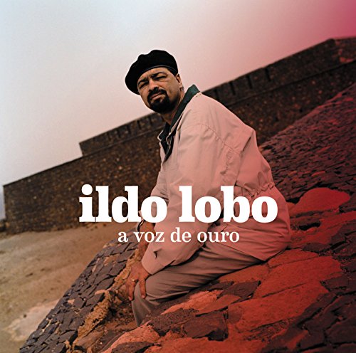"Album cover with a man sitting on a stone wall, wearing a beret."
