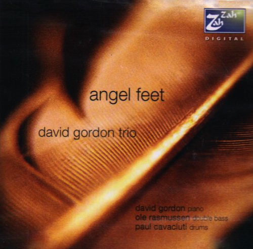 "CD album cover with abstract brown background, titled 'Angel Feet' by David Gordon Trio."