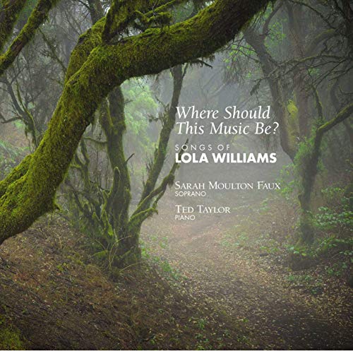 CD cover with misty forest scene and white text "Where Should This Music Be?"