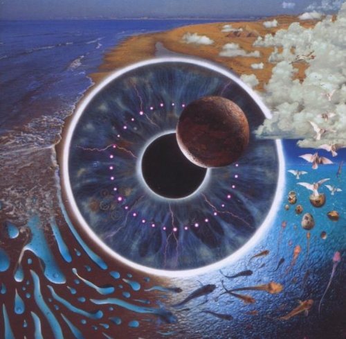 The alt text for the image is: "Pink Floyd Pulse CD album cover featuring a surreal eye image."