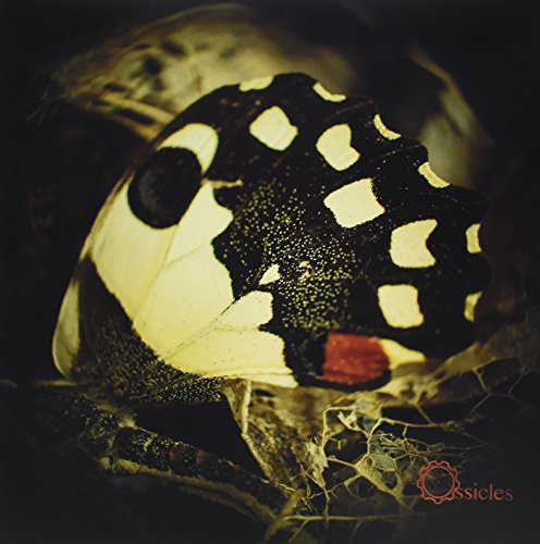 Ossicles - Music For Wastelands [VINYL]
