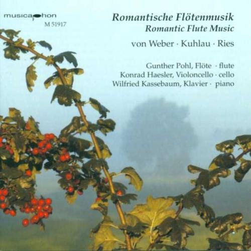 CD cover with a plant and red berries against a blue background.