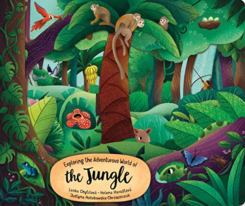 Exploring the Adventurous World of the Jungle (Happy Fox Books) Board Book for Kids Ages 2-5 - Delves Deeper into the Trees and Vines with Each Page Turn, with Educational Facts and Vocabulary Words