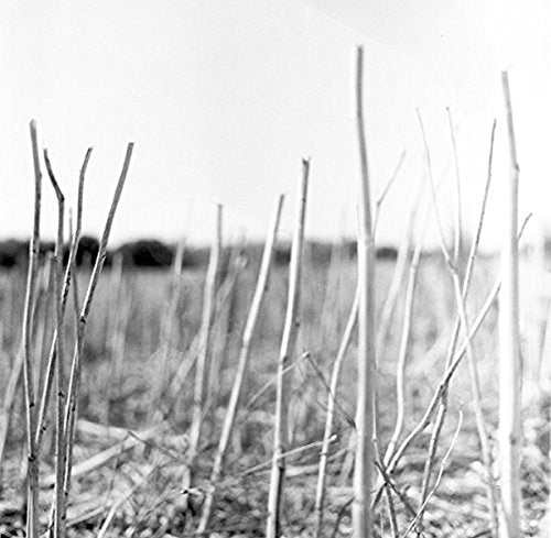 Recondite - On Acid [12"] [VINYL]