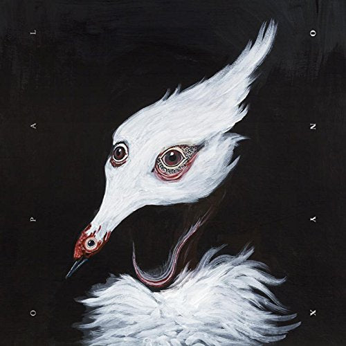 A white bird's head with large eyes on a black background.