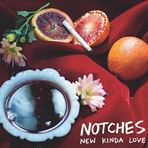 Notches - New Kinda Love / Almost Ruined Everything [CD]