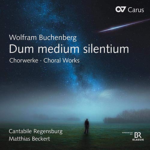 A person stands alone in a field under a starry night sky, CD cover.