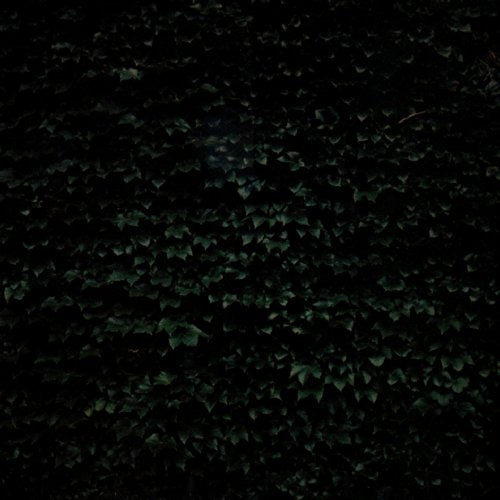 Tarentel - The Order of Things [CD]