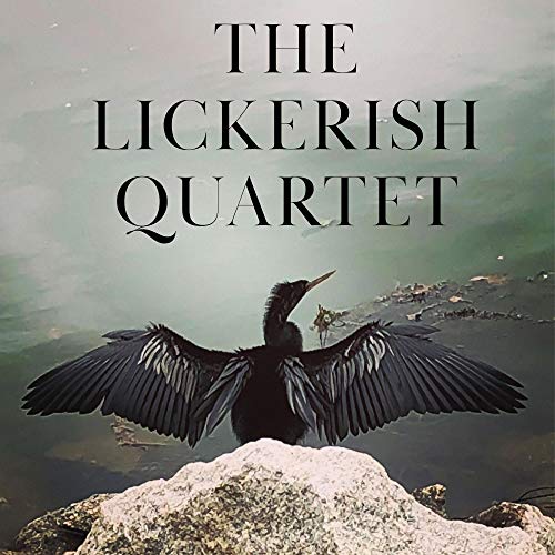 "CD cover featuring a black bird with outstretched wings on a rock."
