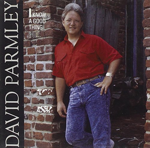 "Album cover featuring David Parmley leaning against a brick wall, wearing red shirt and jeans."