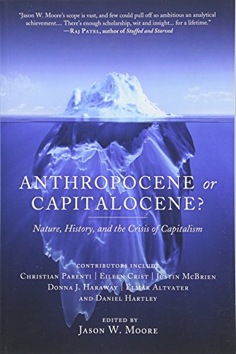 Anthropocene or Capitalocene? : Nature, History, and the Crisis of Capitalism (Kairos)