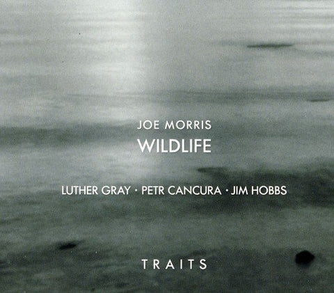 Joe Morris  Petr Cancura  Jim - Traits [CD]