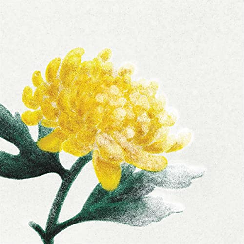 Various Artists - Spring Snow [VINYL]