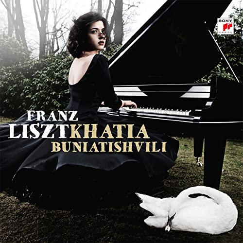 Various - Franz Liszt [180 gm 2LP Vinyl] [VINYL]