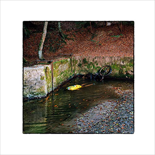 Franck Vigroux - Totem [CD]