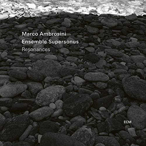 "Black and white image of rocks by water, with white text overlay."