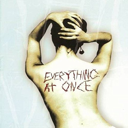 "Album cover featuring a shirtless person with 'Everything At Once' written on their back."