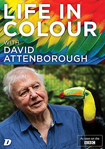 DVD cover featuring David Attenborough and a colorful toucan, with rainbow feathers above.