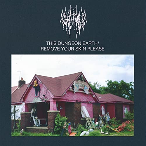 Various - This Dungeon Earth/Remove Your Skin Please [VINYL]