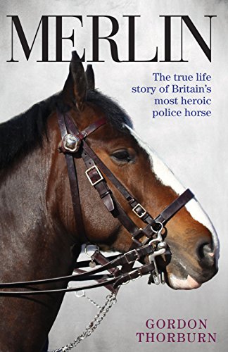Merlin - The true story of a courageous police horse