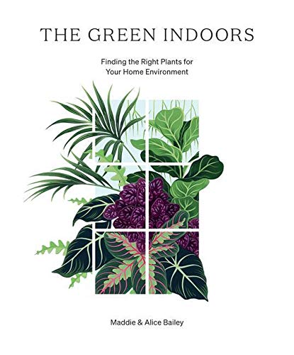 The Green Indoors: Finding the Right Plants for Your Home Environment
