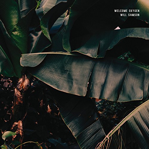 "Album cover with dark green banana leaves and white text."
