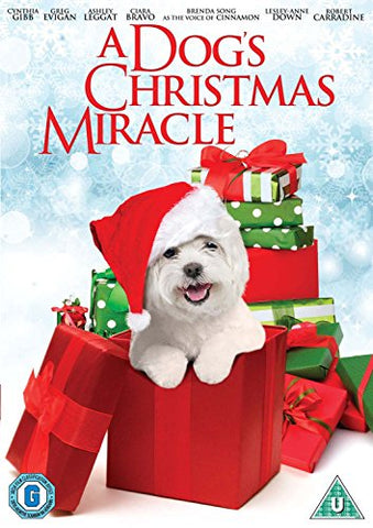 My Dog's Christmas Miracle [DVD]