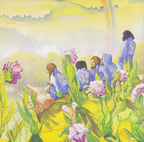 Vasconcelos Sentimento - Cinq Saisons [CD]