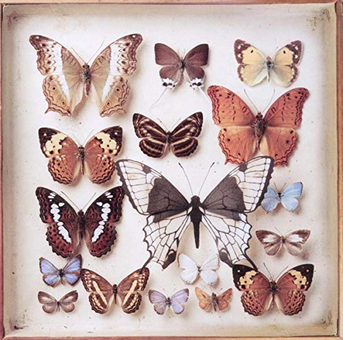 Emiliana Torrini - Rarities [CD]