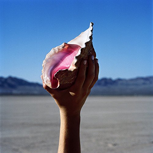 A hand holds a large conch shell in a desert landscape with mountains.