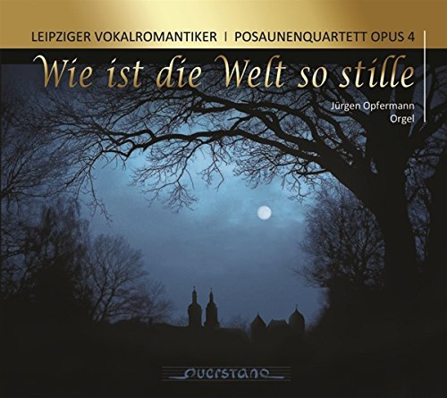 CD cover with a nighttime landscape and gold title text "Wie ist die Welt so stille".
