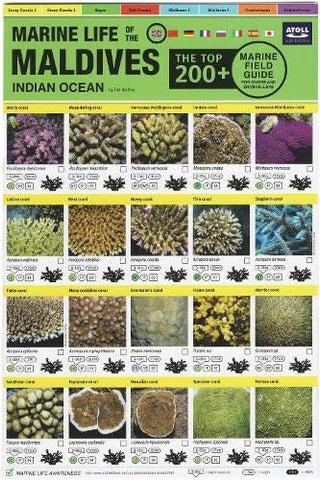 Maldives Marine Life Field Guide:  inchTop 200+ inch